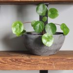 Barn-Beam-Natural-Floating-Bookshelf-10