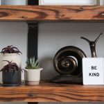 Barn-Joist-Clear-Coat-Floating-Bookshelf-3