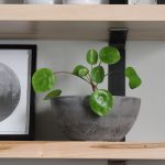 Wormy-Maple-Floating-Bookshelf-6