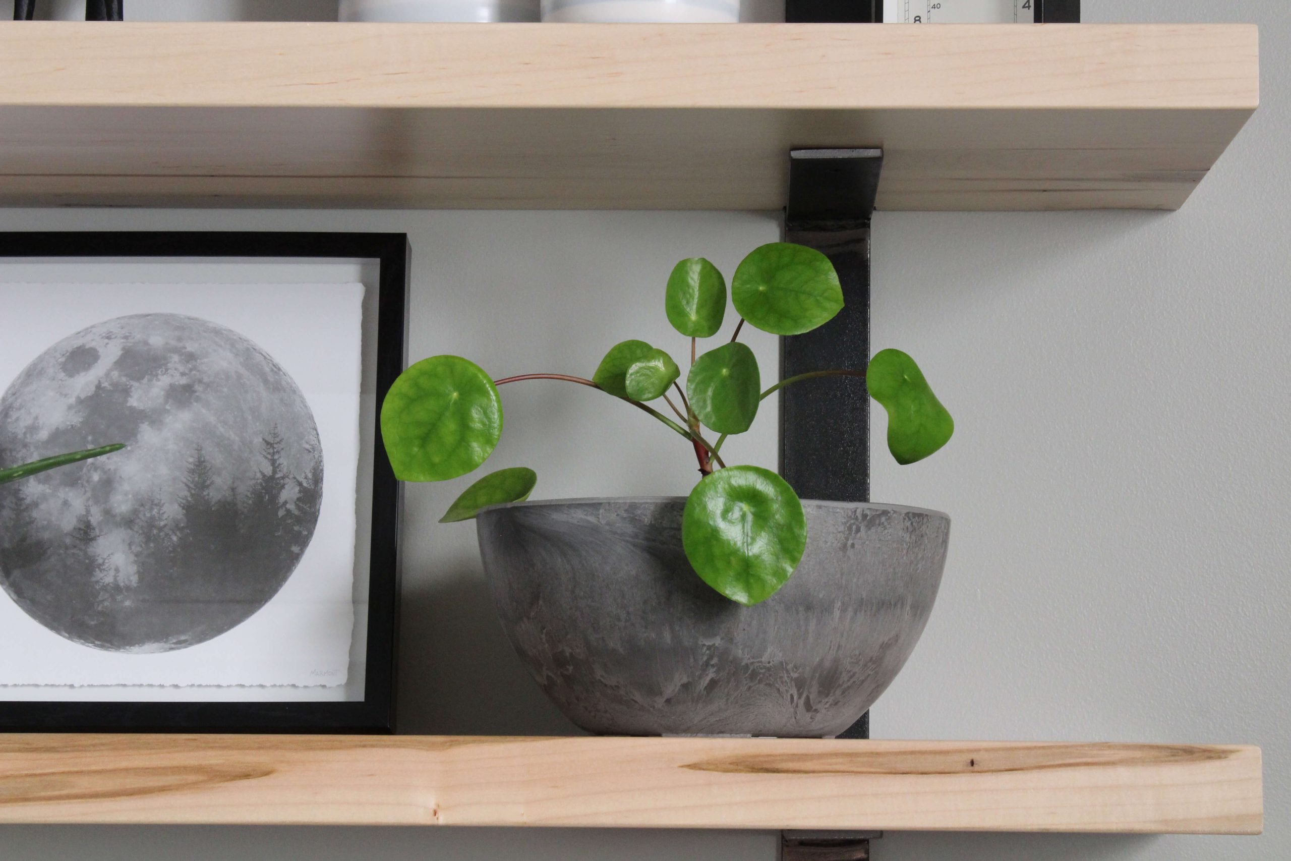 Wormy-Maple-Floating-Bookshelf-6